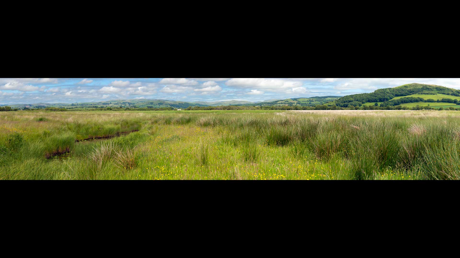 Skomer island, north pond panoramic